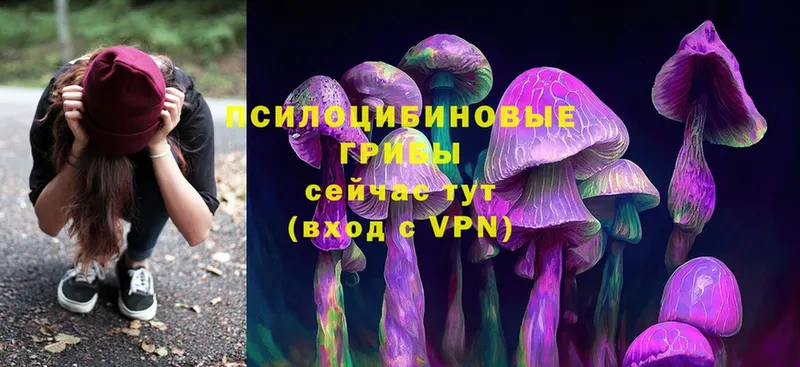 Галлюциногенные грибы Cubensis Сим